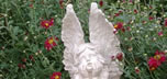 Angels in the Mums
